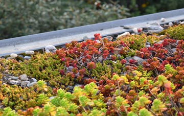 the cost of Braughing Friars green roof installation