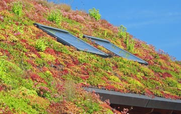 Braughing Friars living roof systems