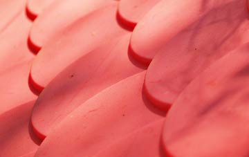 Braughing Friars plastic roof costs