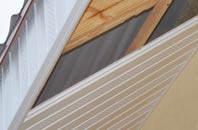 rated Braughing Friars soffit repair companies